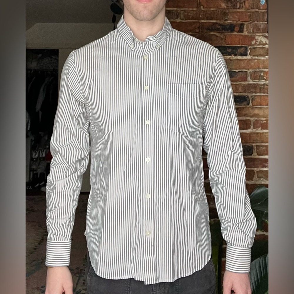 everlane striped button down